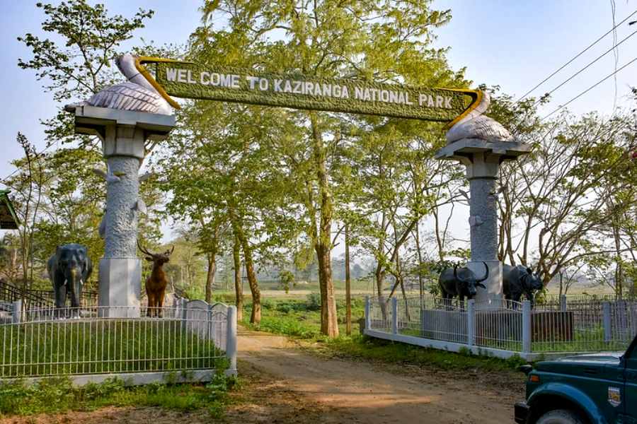 হাতি দর্শনের জন্য তালিকায় রাখা যায় কাজিরাঙা জাতীয় উদ্যানও।