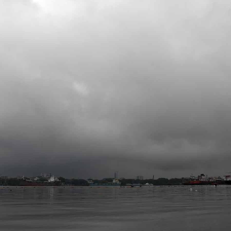 প্রতিনিধিত্বমূলক ছবি।