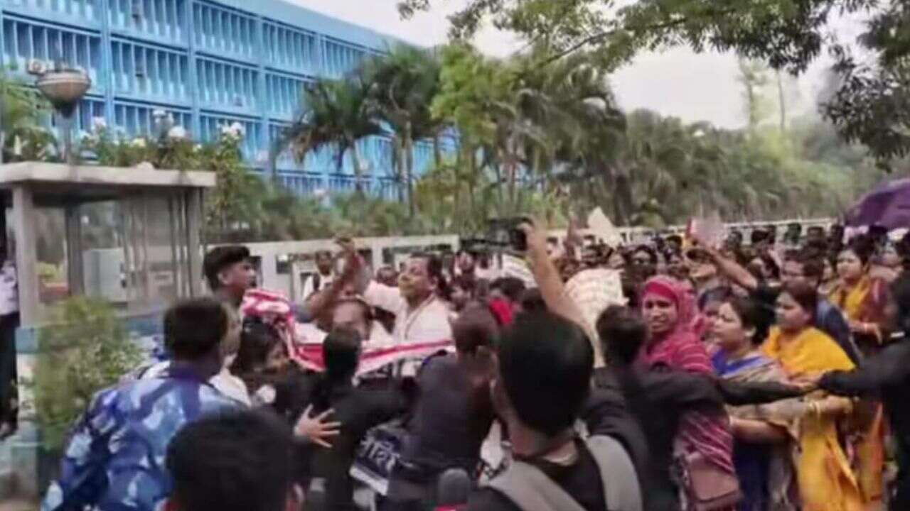 নিজস্ব চিত্র।