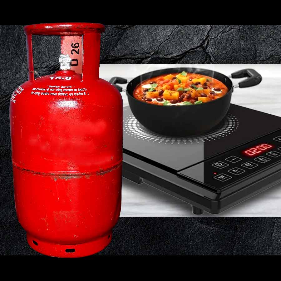 গ্যাস ফুরোলে ইনডাকশন ব্যবহার করবেন কি