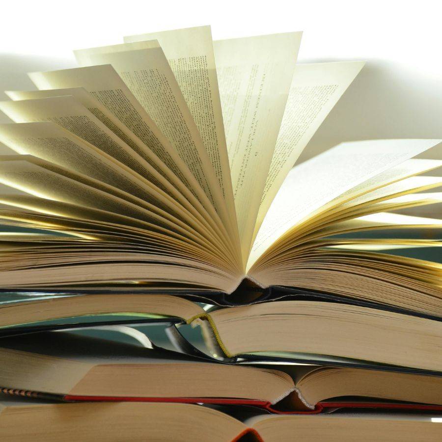 A standing committee at IIT – Gandhinagar will examine the role of Michel Danino as a guest professor after the Supreme Court Dgtl