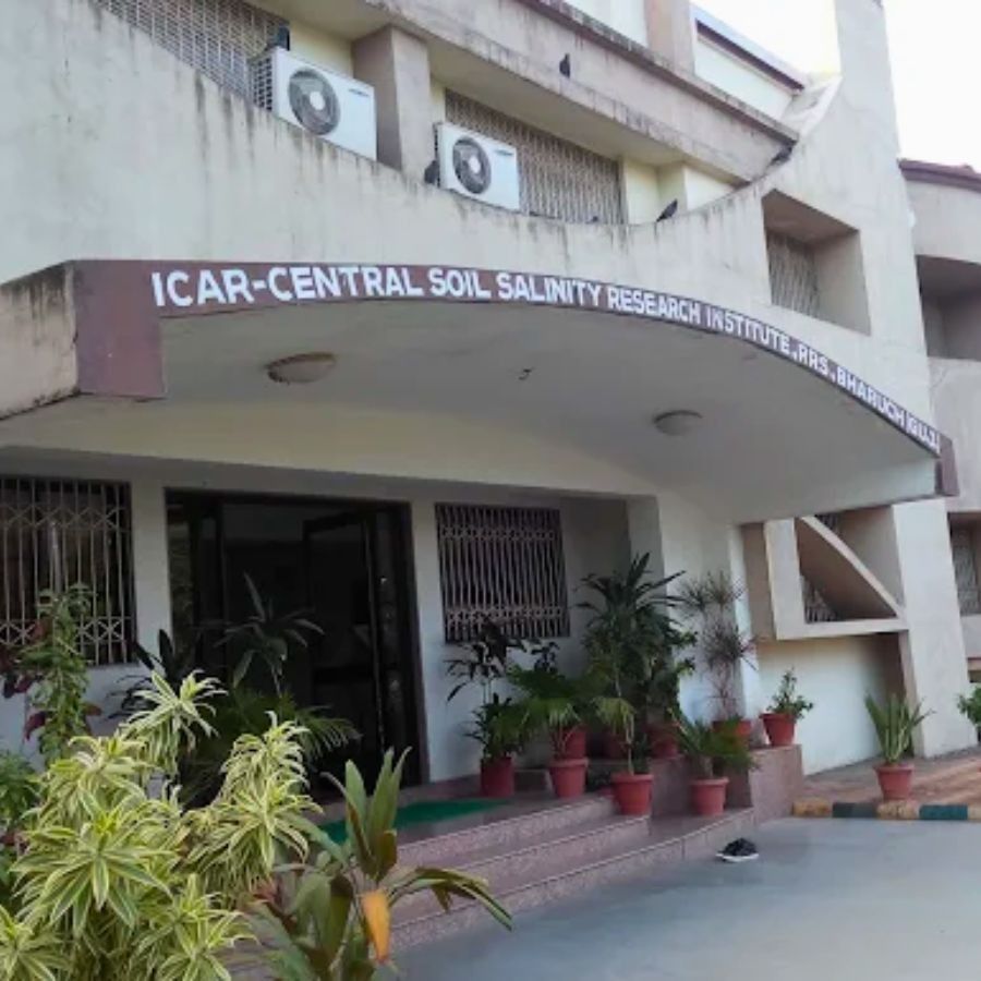 সেন্ট্রাল সয়েল স্যালিনিটি রিসার্চ ইনস্টিটিউট।