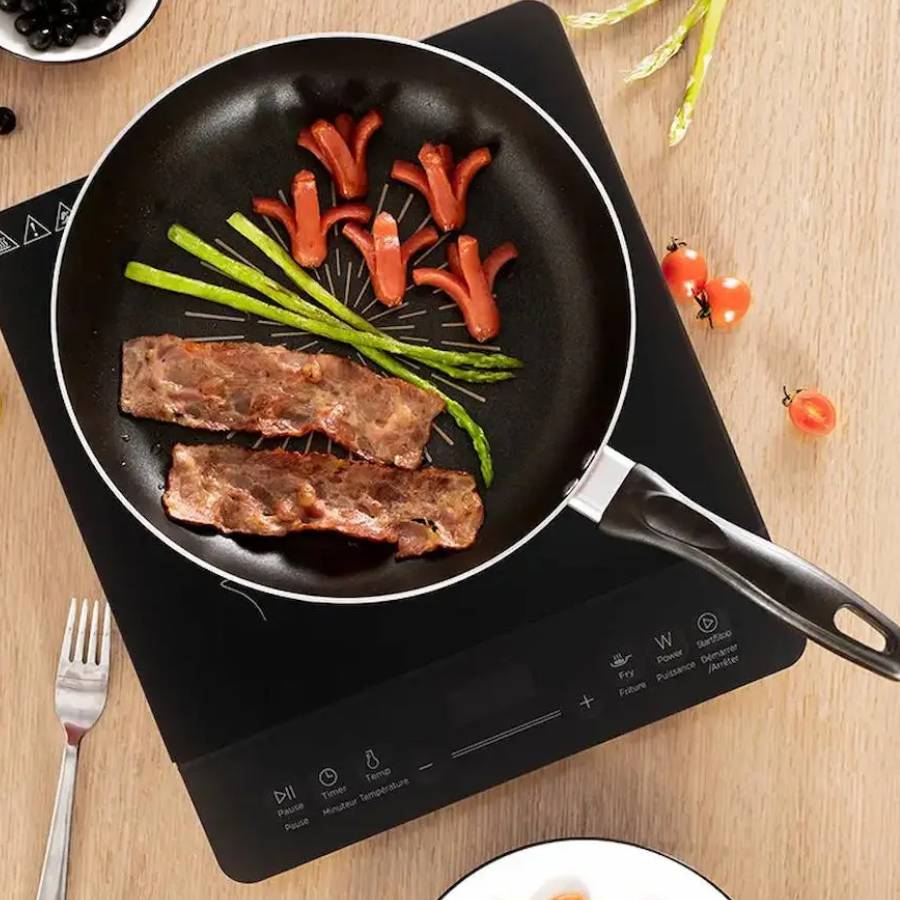 গ্যাসের বদলে ইনডাকশনে রান্না করছেন?