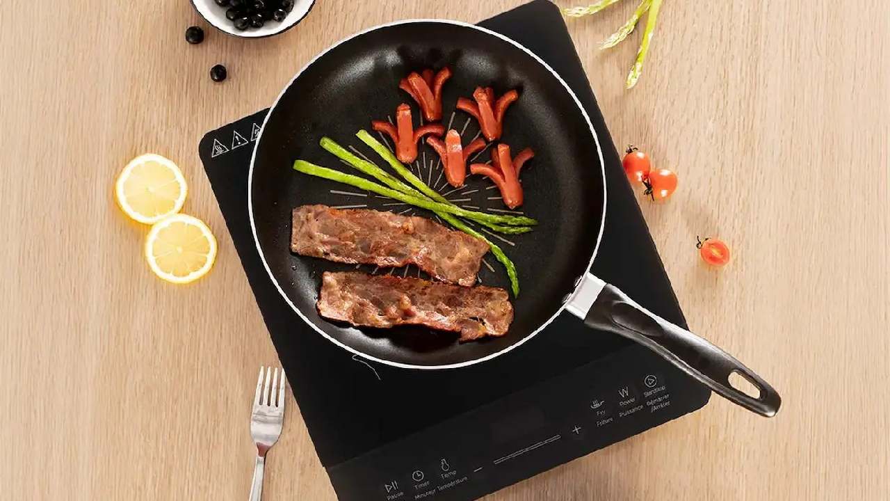 গ্যাসের বদলে ইনডাকশনে রান্না করছেন?