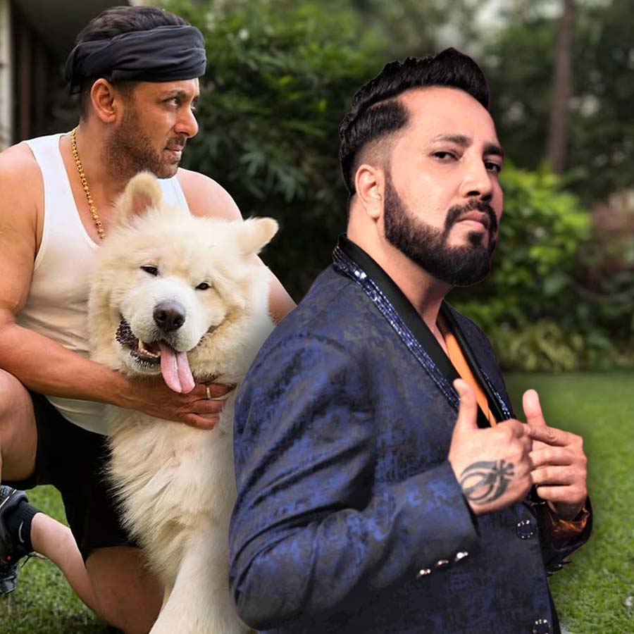 (বাঁ দিকে) সলমন খান, (ডান দিকে) মিকা সিংহ।