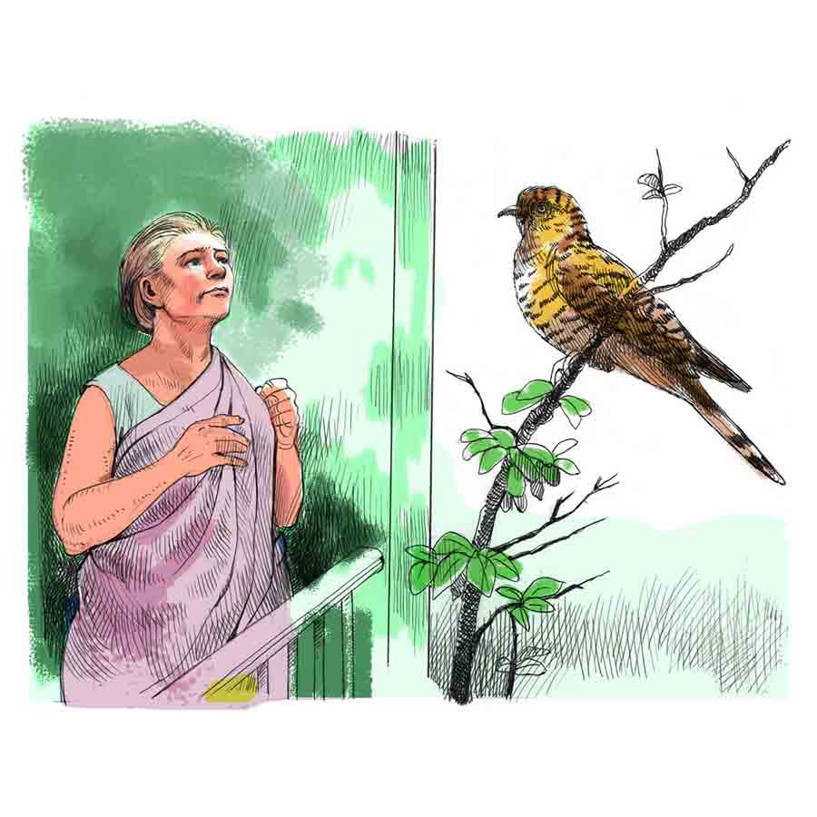 ছবি: প্রসেনজিৎ নাথ।