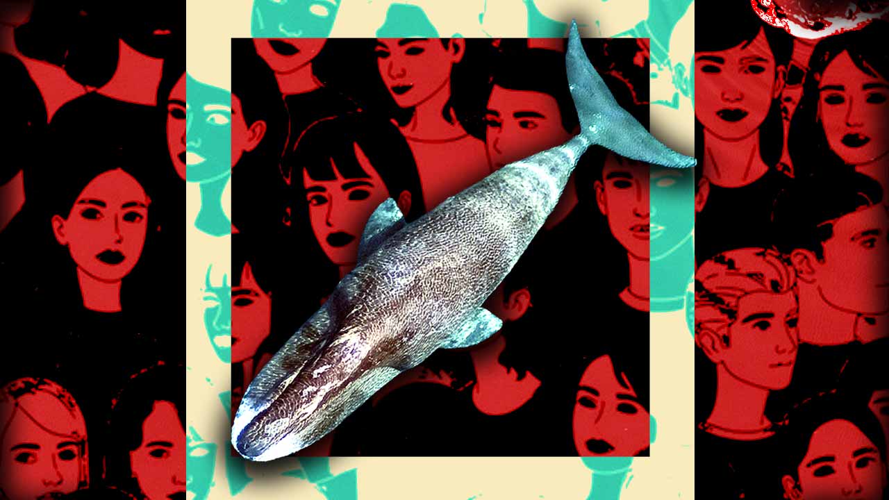 Humans could potentially live up to 200 years, and the secret may lie in Whales