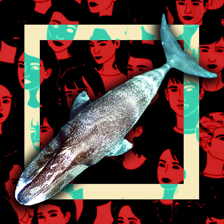 Humans could potentially live up to 200 years, and the secret may lie in Whales