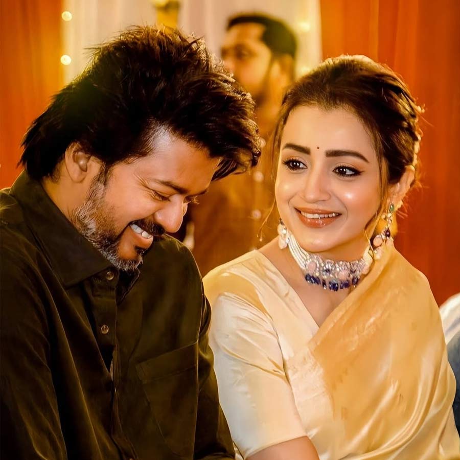 A fan claimed that after Tamilnadu election Trisha and Vijay will announce their relationship dgtl