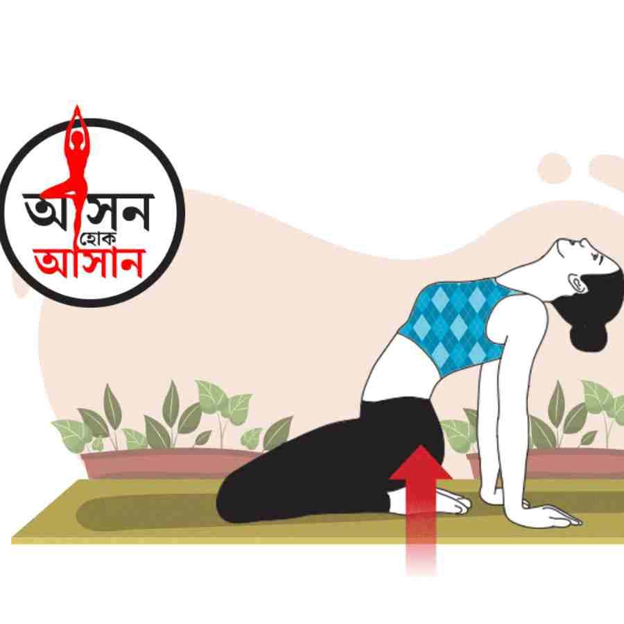 What are the health benefits of Ushtrasana, or Camel Pose