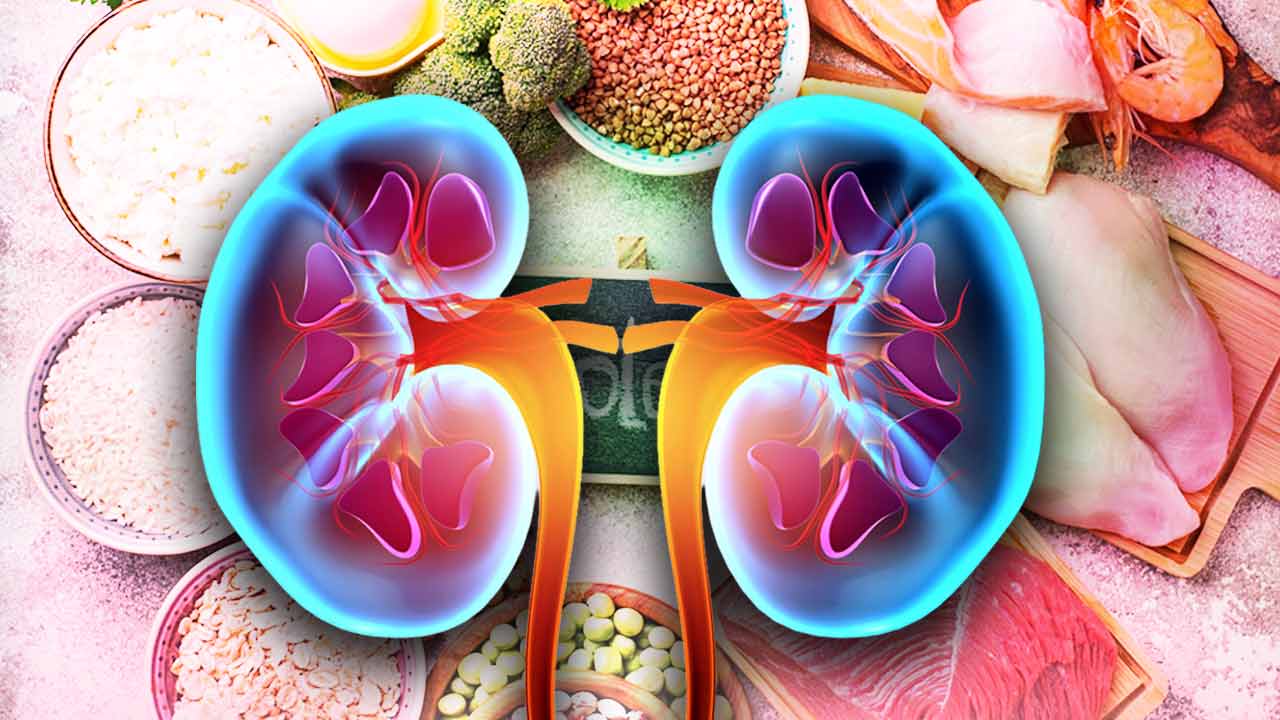 কিডনি ভাল রাখতে প্রোটিন সামলাবেন কারা?