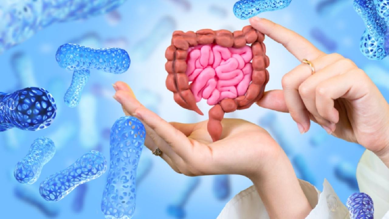 পেটের স্বাস্থ্য ভাল রাখতে খাওয়া ছাড়া আর কোন শর্ত জরুরি?