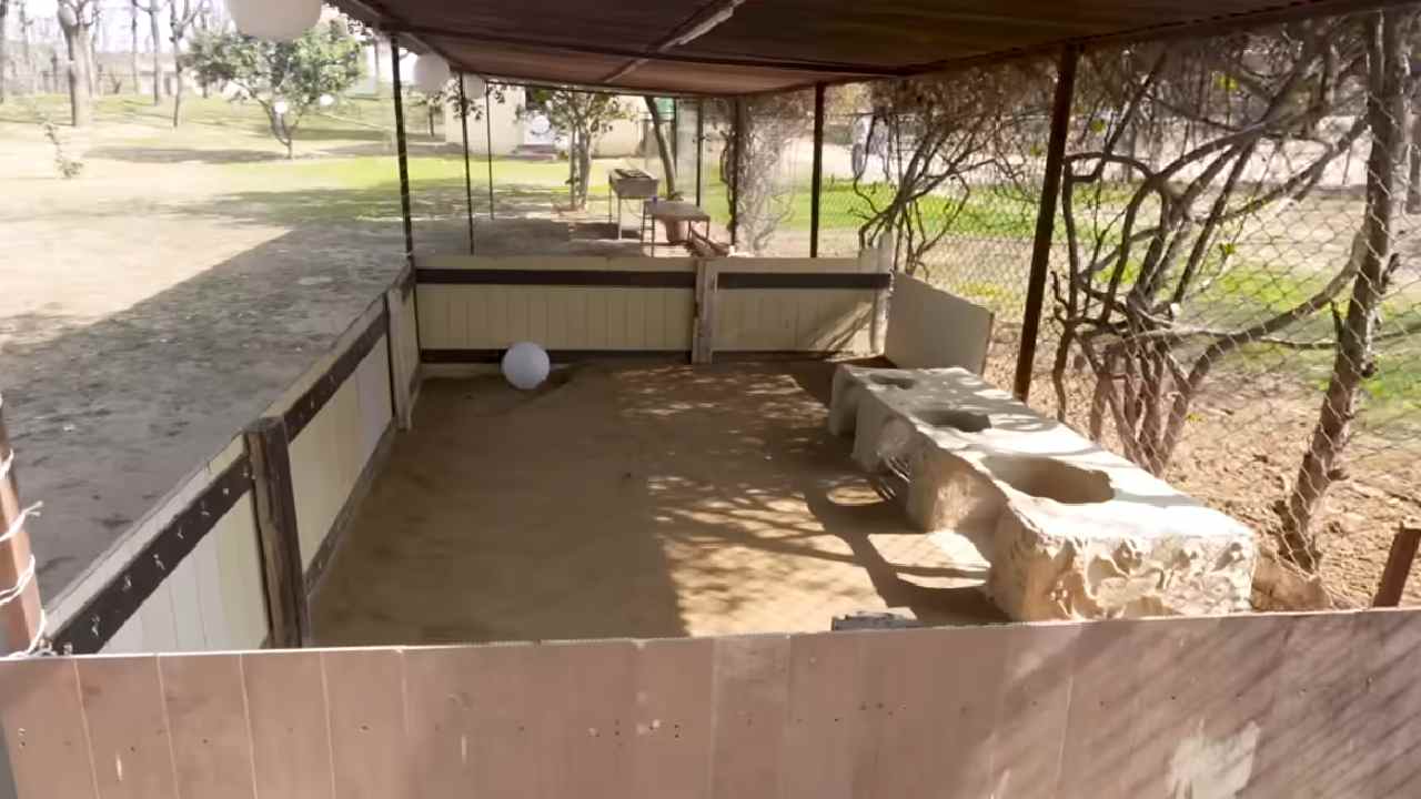 Mika Singh's Delhi Farmhouse