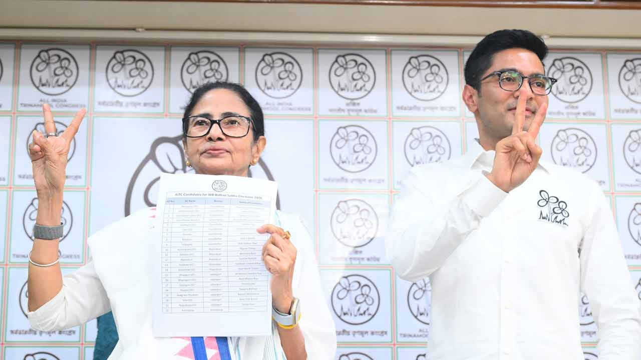 People from various professions have got place in TMC candidate list