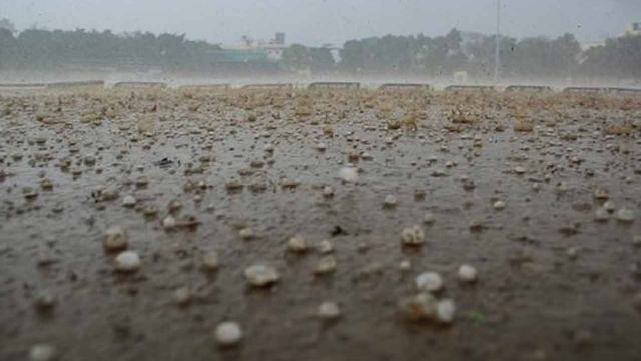 শিলাবৃষ্টির পূর্বাভাস দক্ষিণবঙ্গের জেলায় জেলায়।