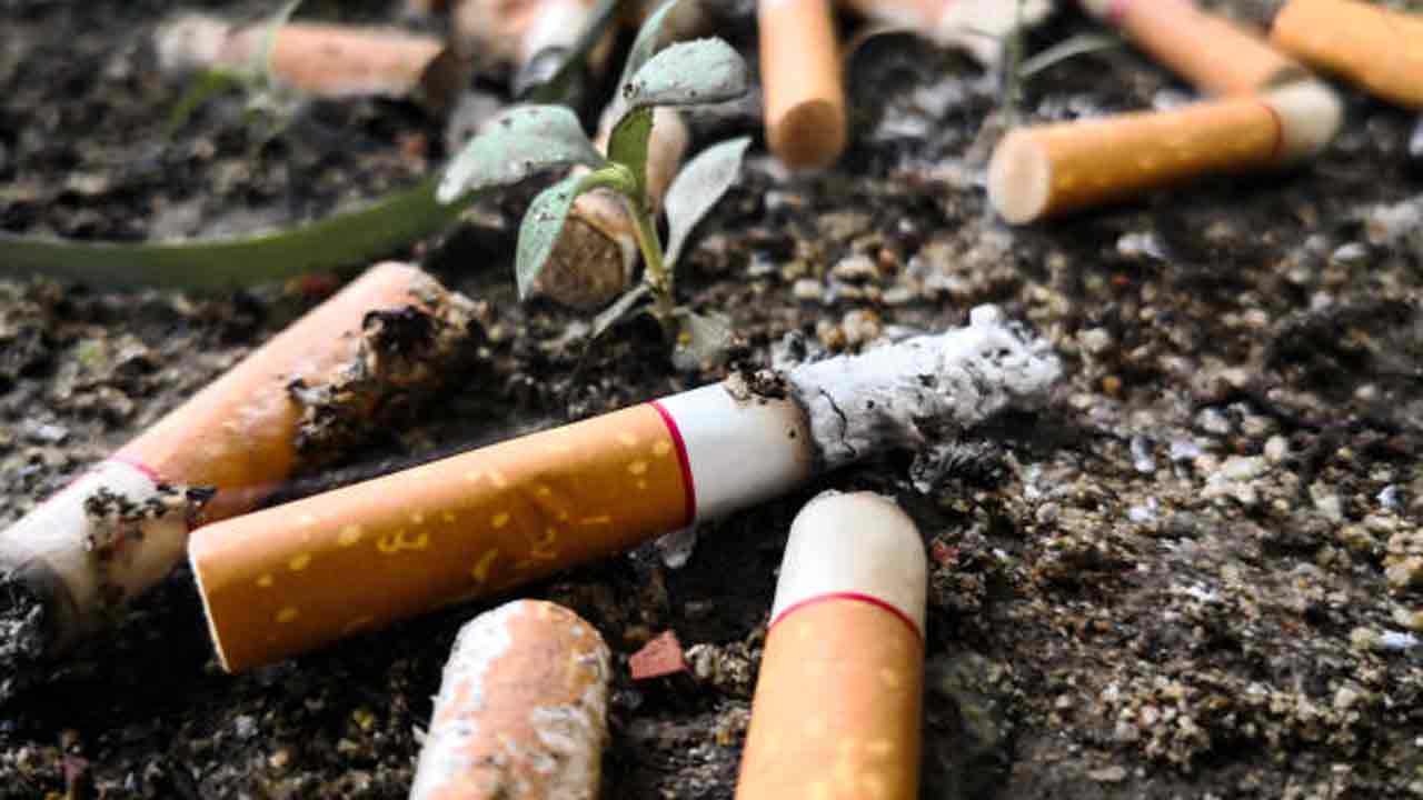 সিগারেটের ফিল্টার।