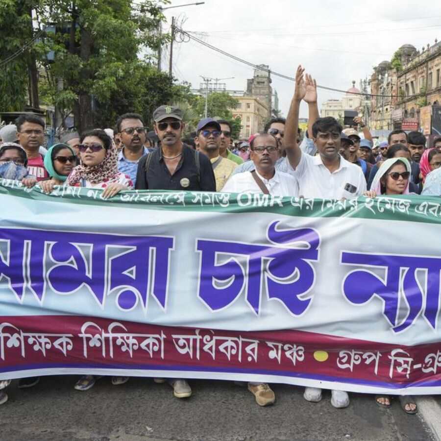 নিজস্ব চিত্র।