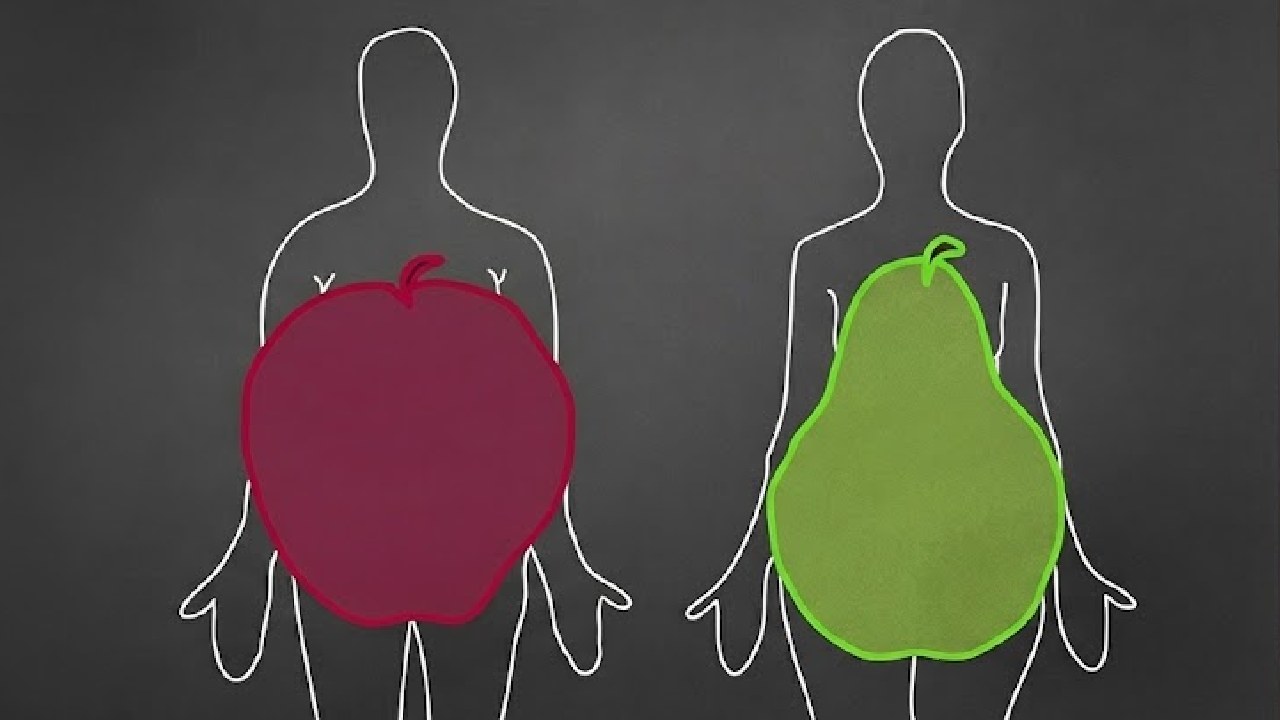 Is your body shape like an apple or a pear, Check to find out if you have a risk of heart disease in the future