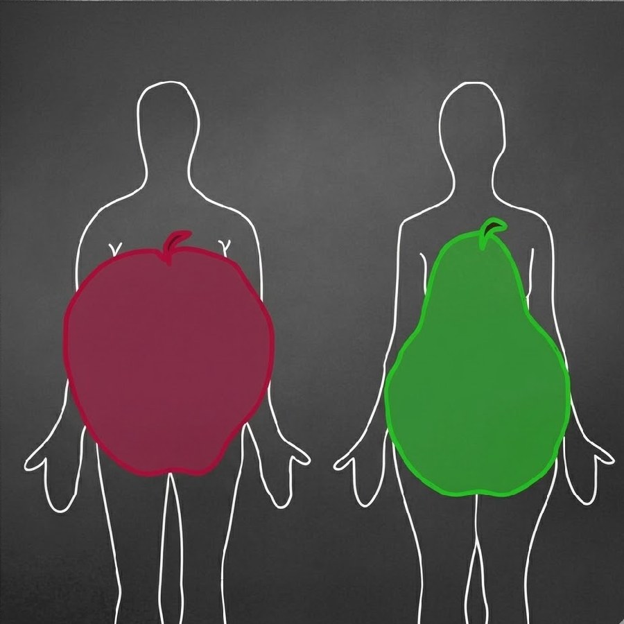 Is your body shape like an apple or a pear, Check to find out if you have a risk of heart disease in the future