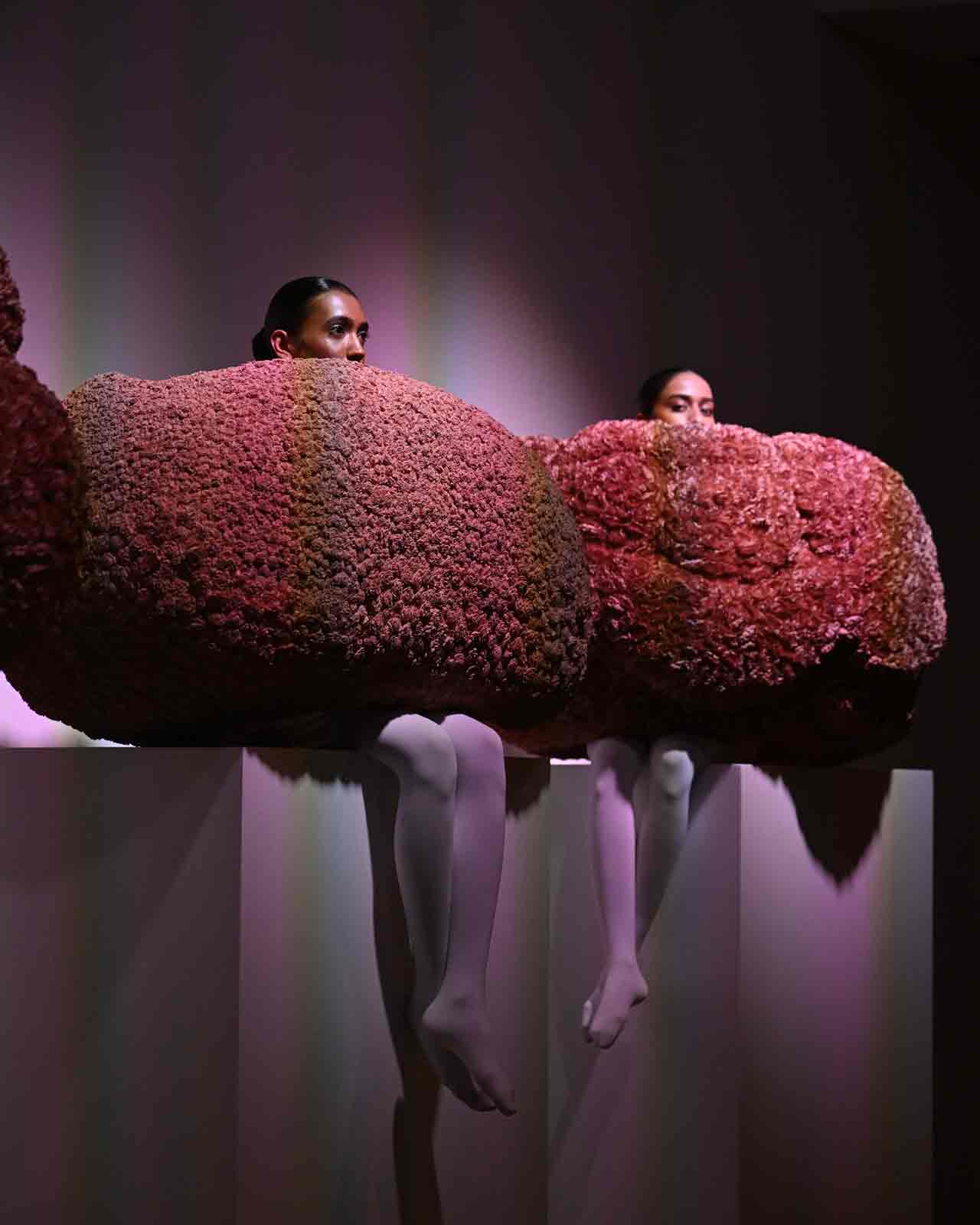 জীবন্ত ইনস্টলেশনের অঙ্গ ছিলেন চার জন মডেল।