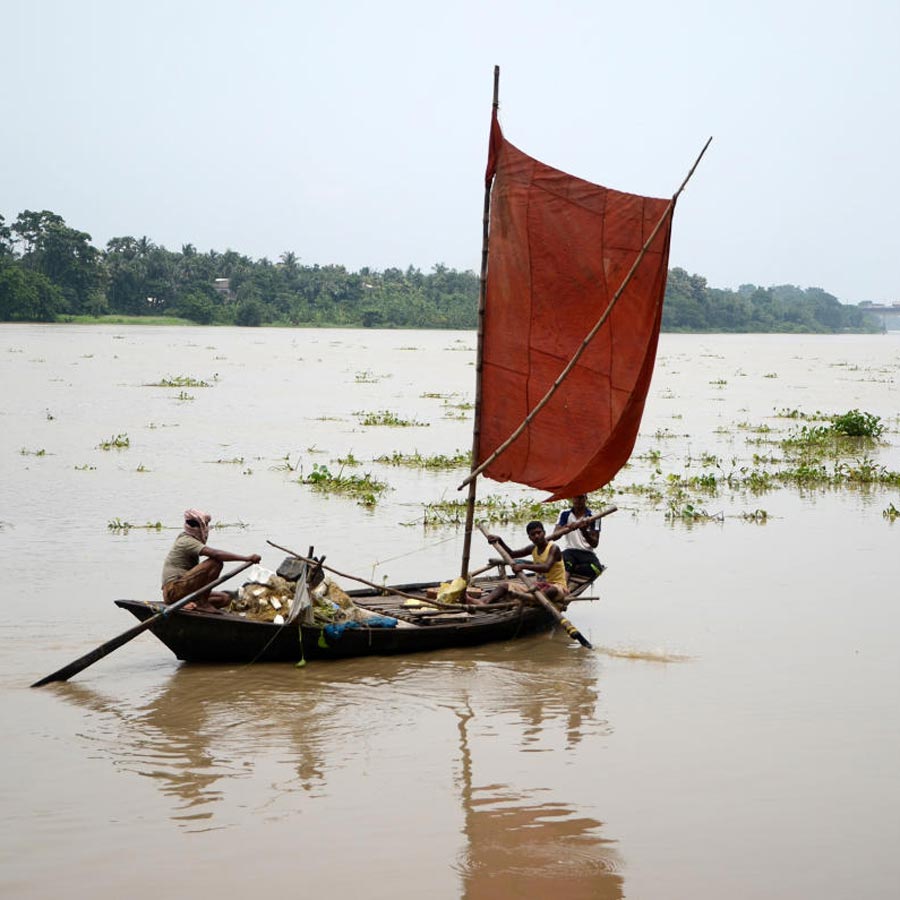 The first environmental movement erased social inequality