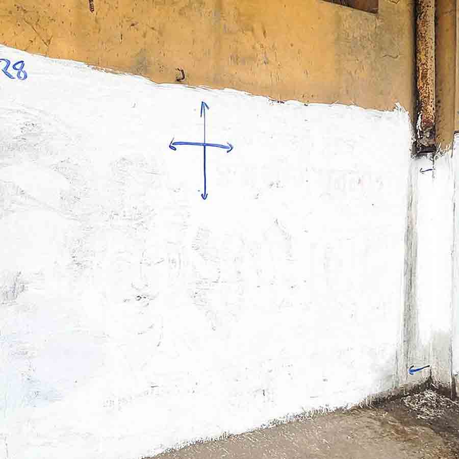 সিংহ আঁকার লোক নেই। বীরভূমের নলহাটিতে দেওয়াল এখনও ফাঁকা।