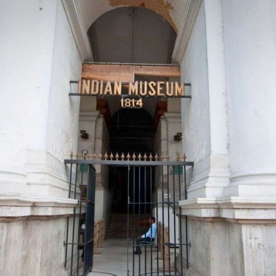 Indian Museum will recruit for the post of Consultant dgtl
