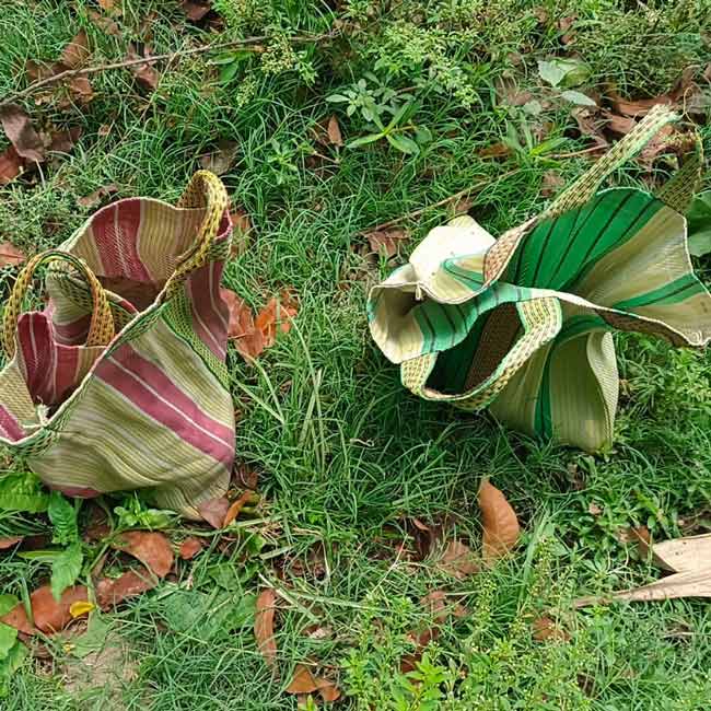 Bomb rescued from Rejinagar in the Murshidabad dgtld