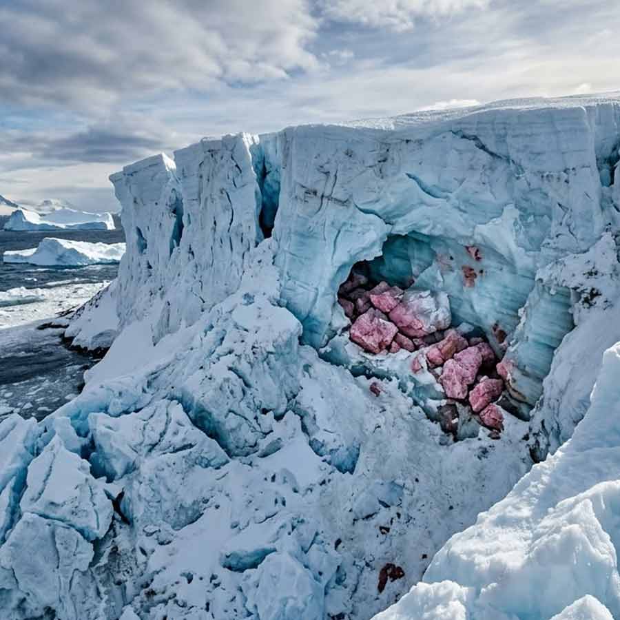 আন্টার্কটিকার পাইনদ্বীপ হিমবাহের নীচে কী রয়েছে, জানা গেল এত দিনে।