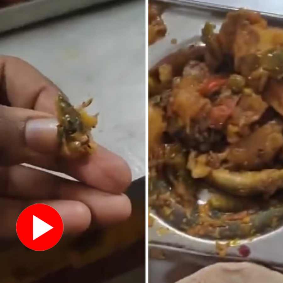 Video of Bhopal student allegedly found lizard in curry served at dinner in canteen goes viral dgtl