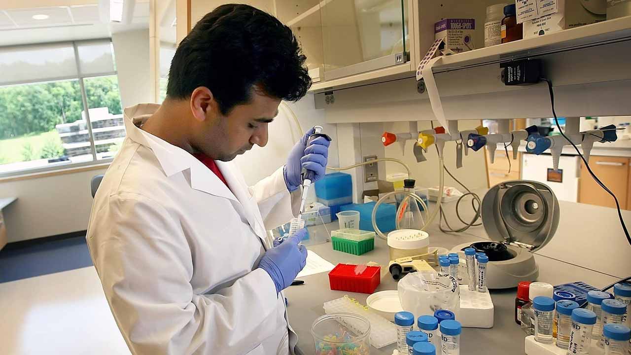 প্রতীকী ছবি।