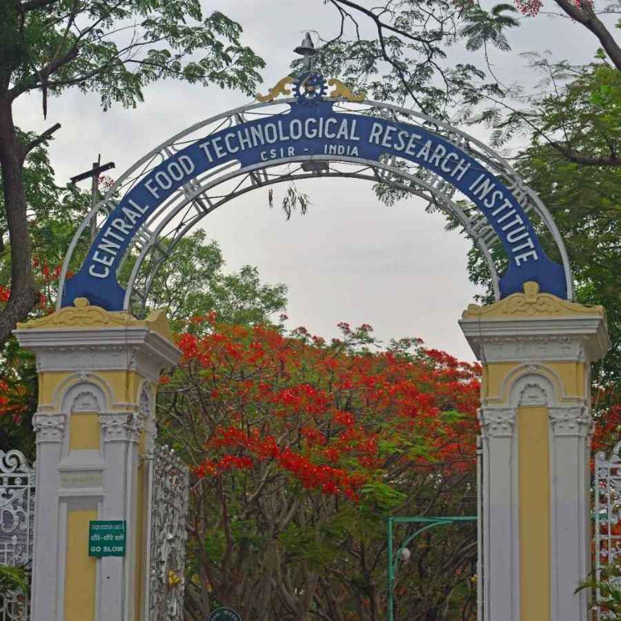 সেন্ট্রাল ফুড টেকনোলজিক্যাল রিসার্চ ইনস্টিটিউট।