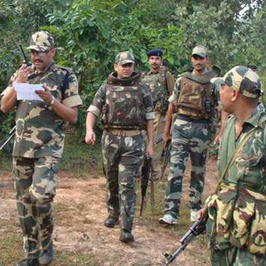 How Farmers Grow Strawberries Despite Tropical Heat, Turning Region into Berry Hub