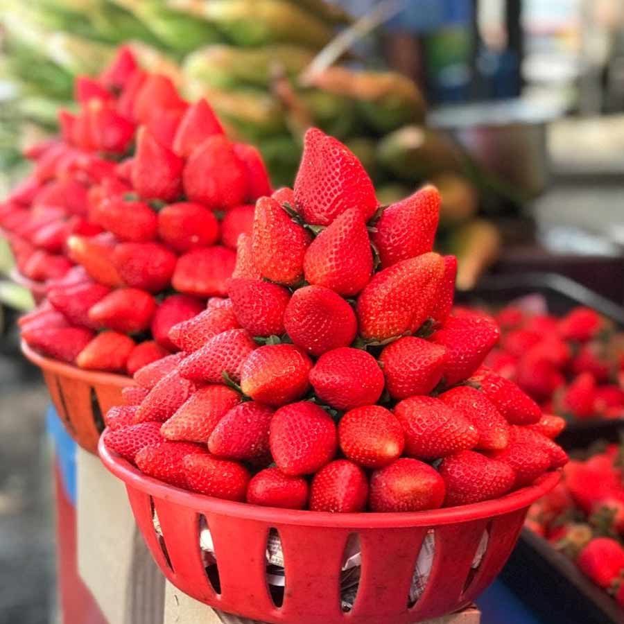 How Farmers Grow Strawberries Despite Tropical Heat, Turning Region into Berry Hub