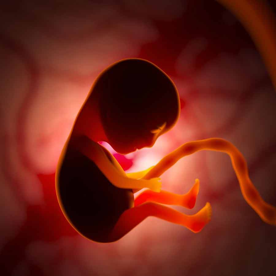 ৫৫ হাজার বছরের পুরনো নিয়ানডারথাল মানুষের ভ্রূণ আবিষ্কার করা হয়েছে জার্মানিতে।