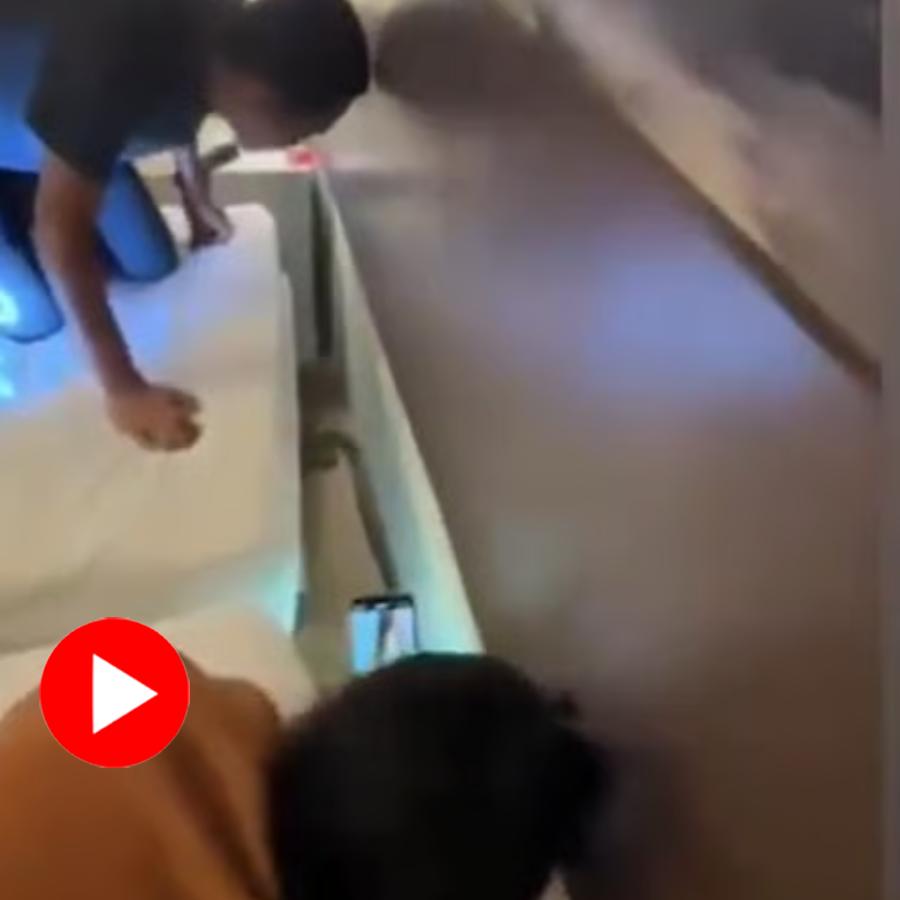 Video of Couple Spotting Massive Cobra Hissing Near Their Bed At Krabi Hotel In Thailand Goes Viral dgtl