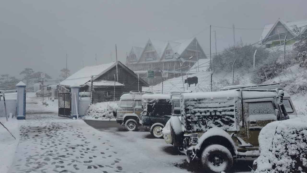 বরফে ঢেকেছে বিস্তীর্ণ এলাকা।