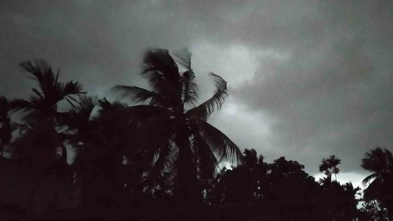 প্রতিনিধিত্বমূলক ছবি।