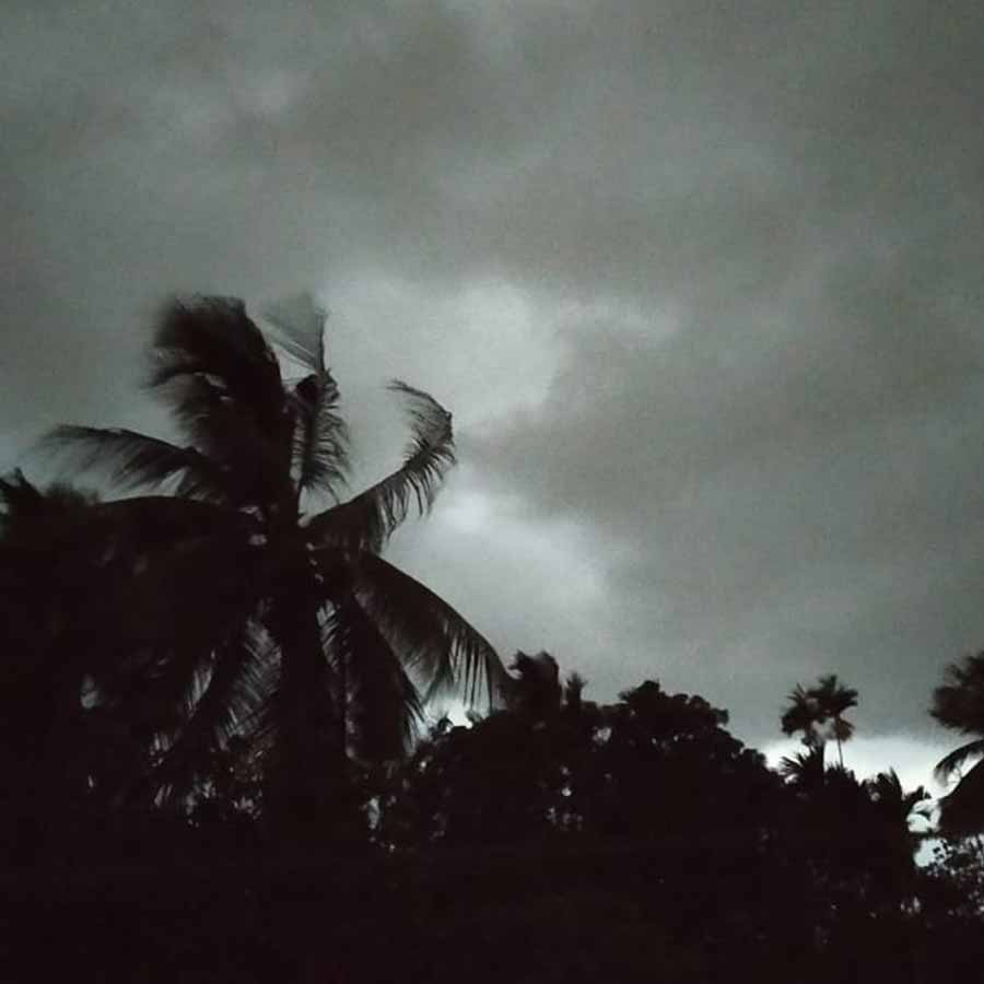 প্রতিনিধিত্বমূলক ছবি।