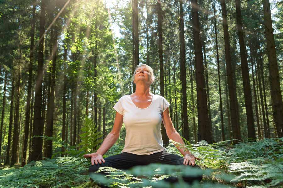 জাপানের ফরেস্ট বাদিং।