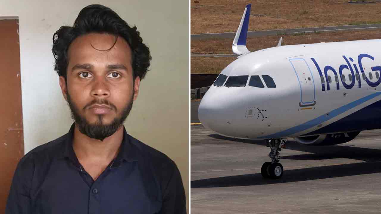 বিমানের আপৎকালীন দরজা খোলার চেষ্টা। গ্রেফতার যুবক। ছবি: সংগৃহীত।