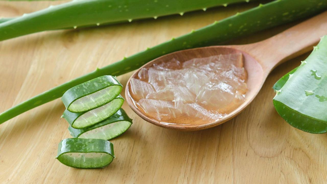 বা়ড়ির গাছ থেকে জেল নিয়ে কী ভাবে ব্যবহার করবেন?