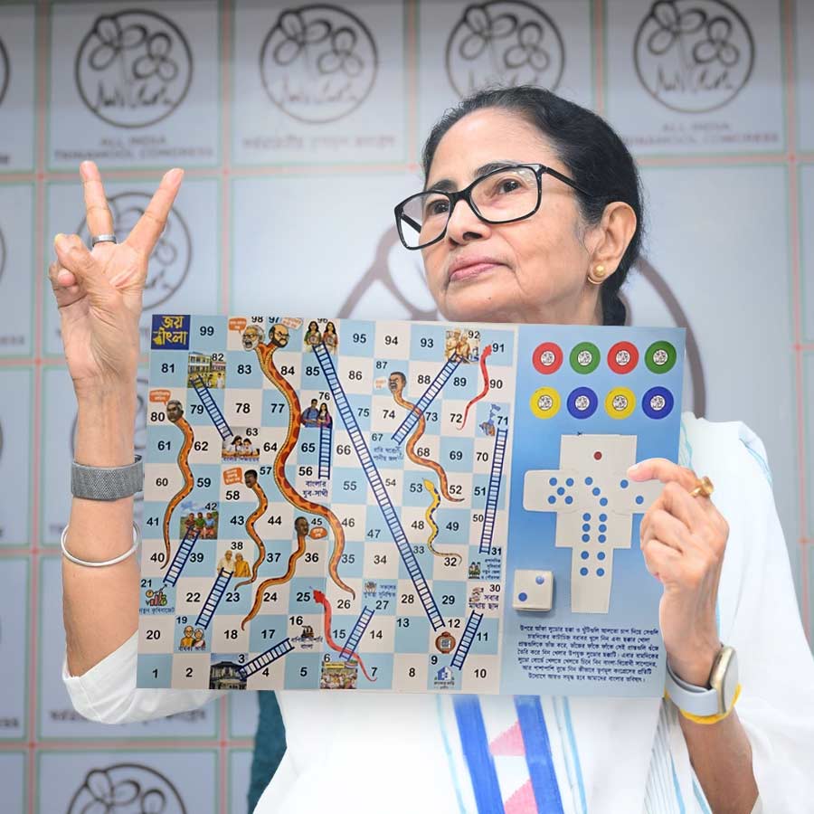 Ludo is going to bring a new strategy to TMC election campaign