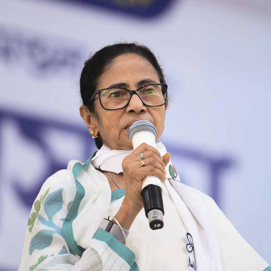 তৃণমূলনেত্রী মমতা বন্দ্যোপাধ্যায়।