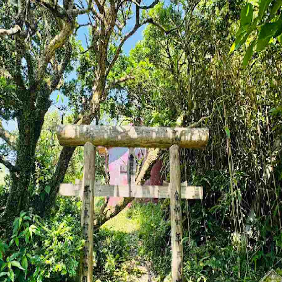 All need to know about Aogashima, a volcanic island to the south of Japan