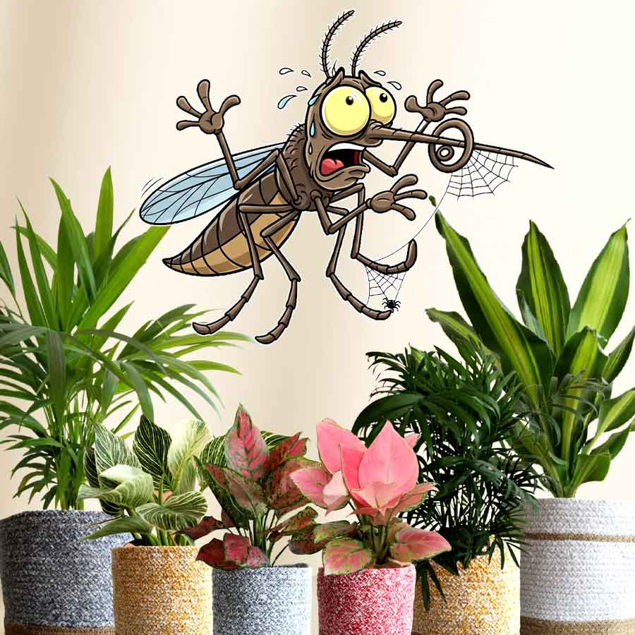 Get these plants to keep mosquitos at bay