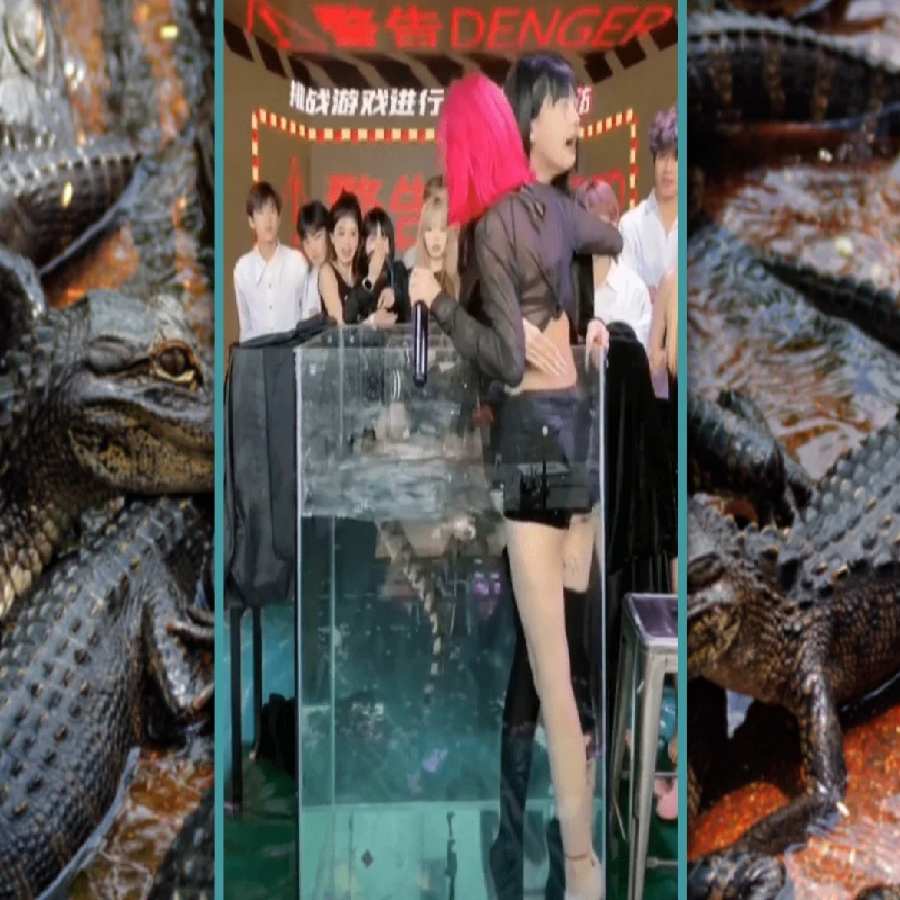 China bans social media account that forced young women to live-stream inside a crocodile tank dgtl