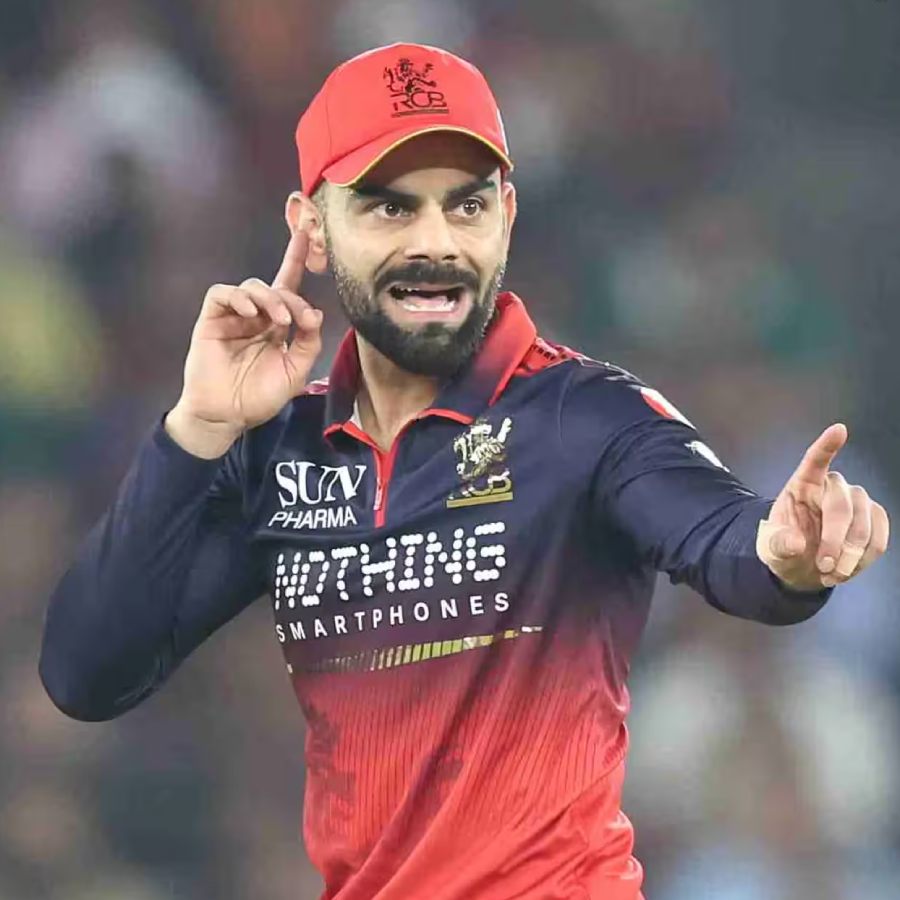picture of cricket