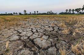 Pakistan ranks in world’s top 10 countries for facing acute food insecurity, say UN backed report 