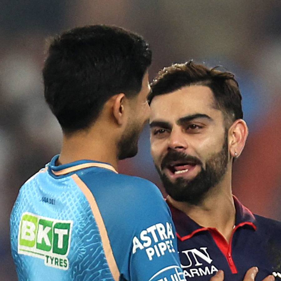 picture of cricket